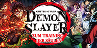 Demon Slayer: Kimetsu no Yaiba - Zum Training der Säulen